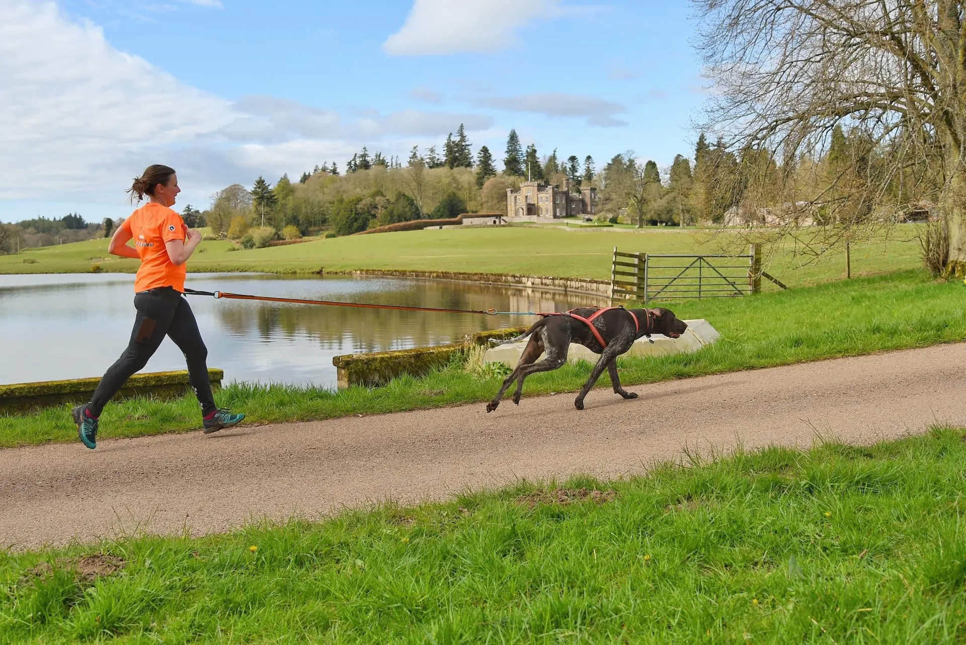 Ciska Wilson running canicross with her dog